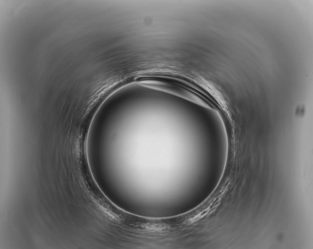 X0000096170105200801251201