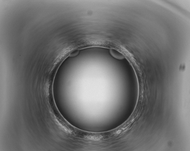 X0000096170106200801251201