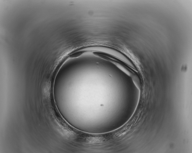 X0000096170107200801251201