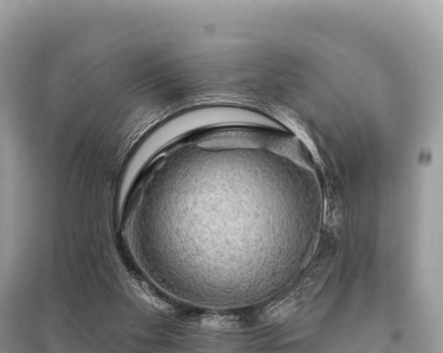 X0000096170109200801251201