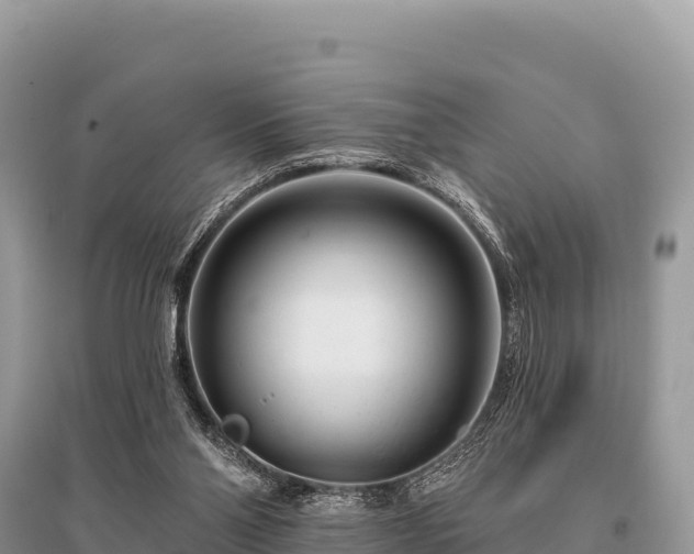 X0000096170110200801251201