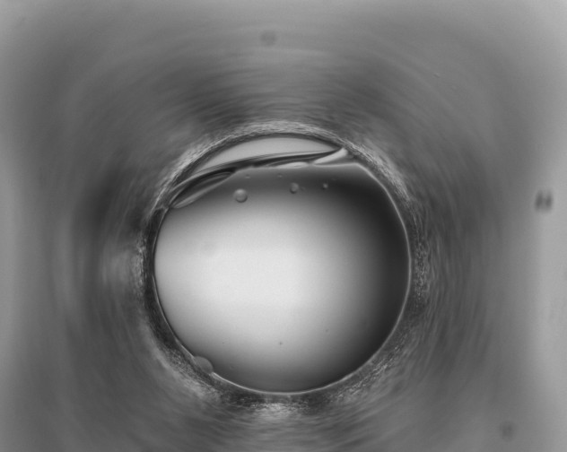 X0000096170111200801251201