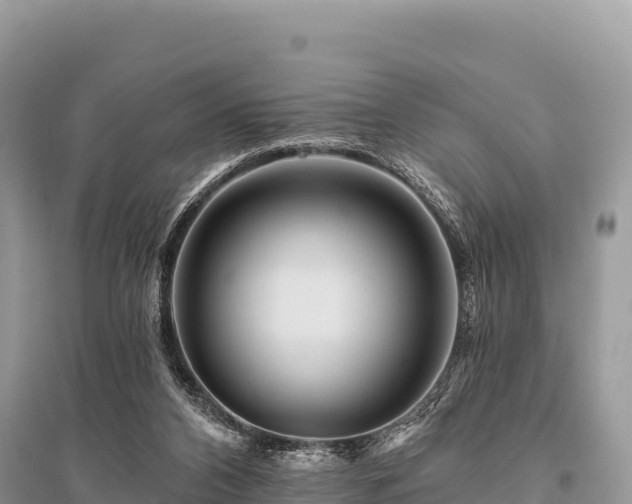 X0000096170112200801251201