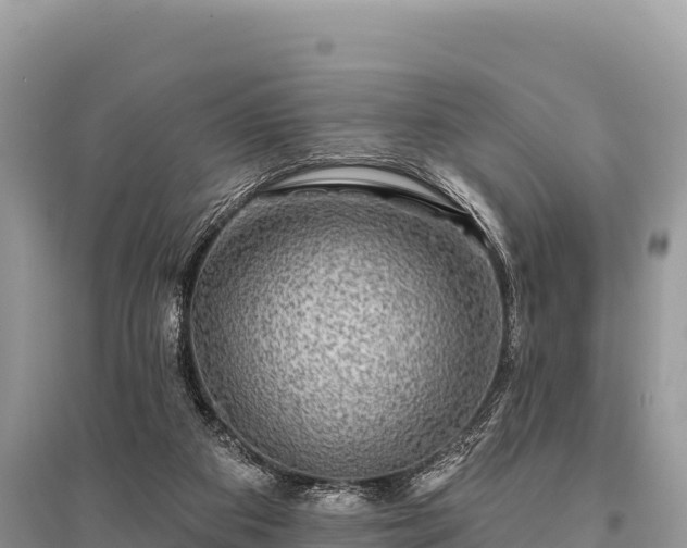 X0000096170113200801251201