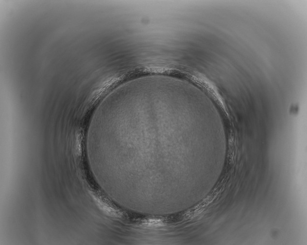 X0000096170114200801251201