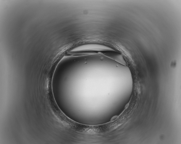 X0000096170115200801251201