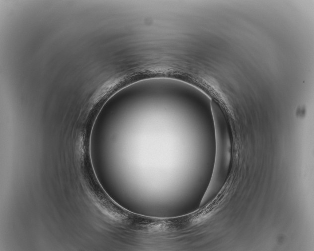 X0000096170116200801251201