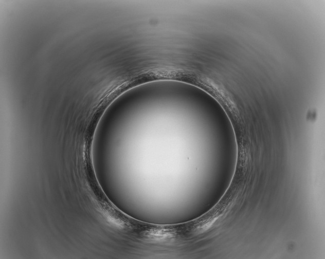 X0000096170117200801251201