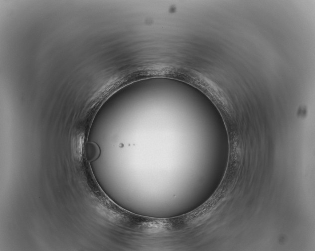 X0000096170118200801251201