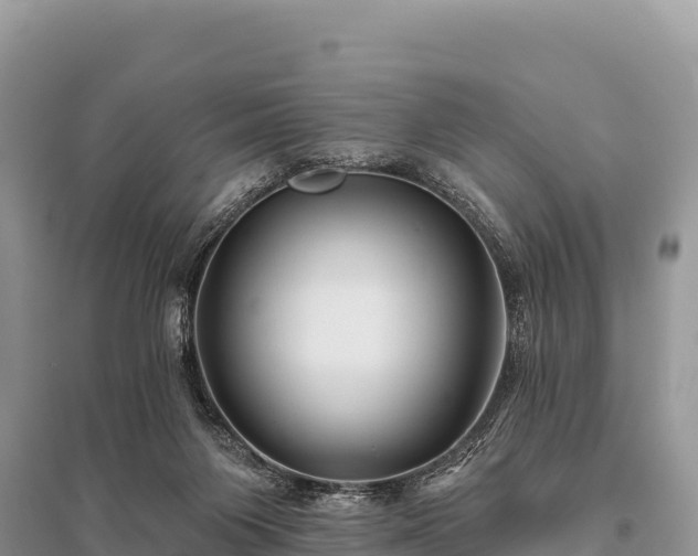 X0000096170119200801251201