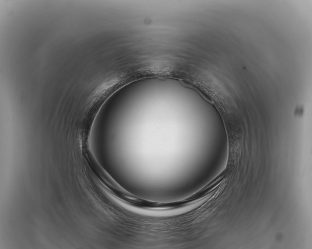 X0000096170120200801251201