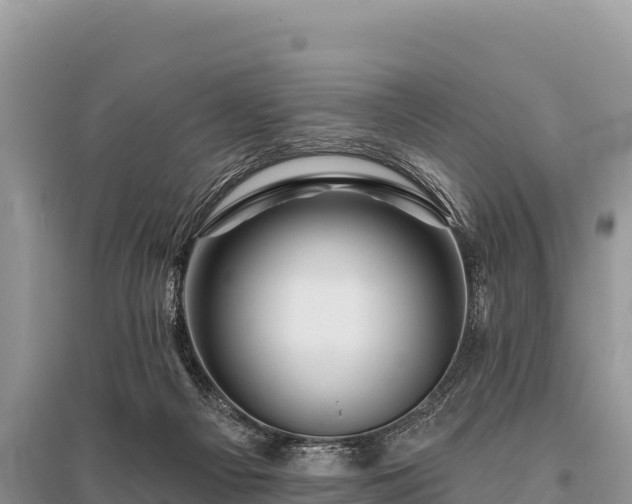 X0000096170121200801251201