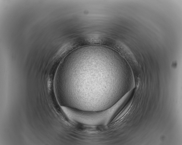 X0000096170124200801251201