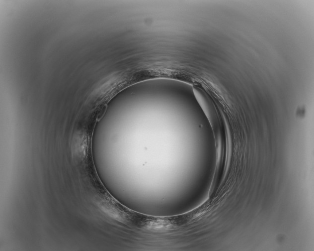 X0000096170125200801251201