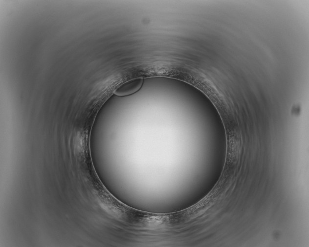 X0000096170126200801251201