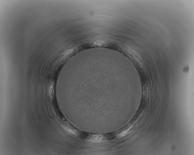 X0000096170127200801251201