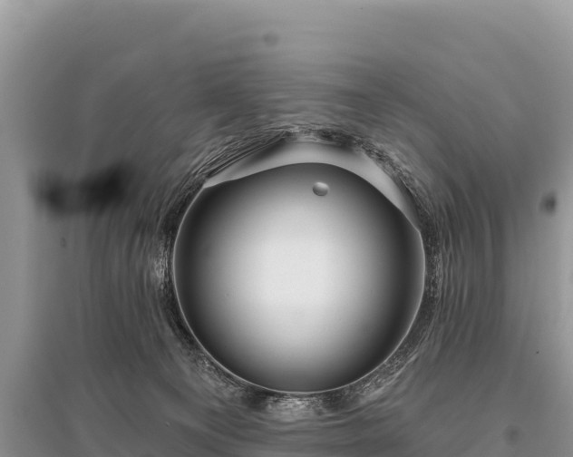 X0000096170129200801251200