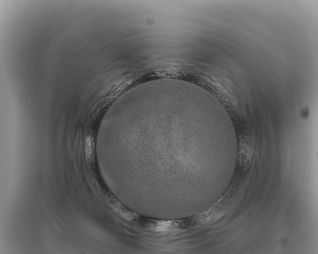 X0000096170130200801251200