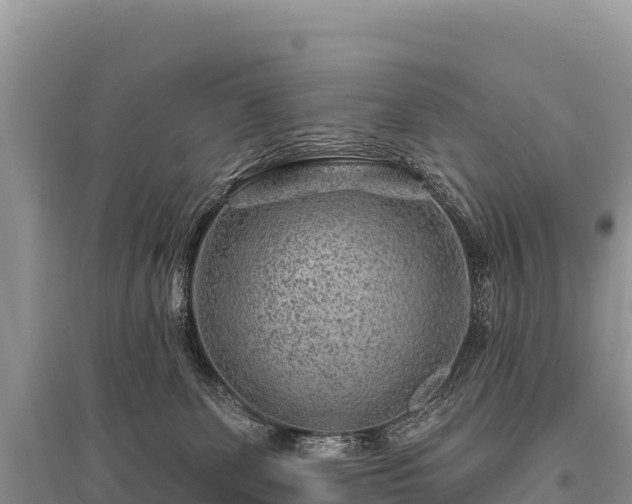 X0000096170131200801251200