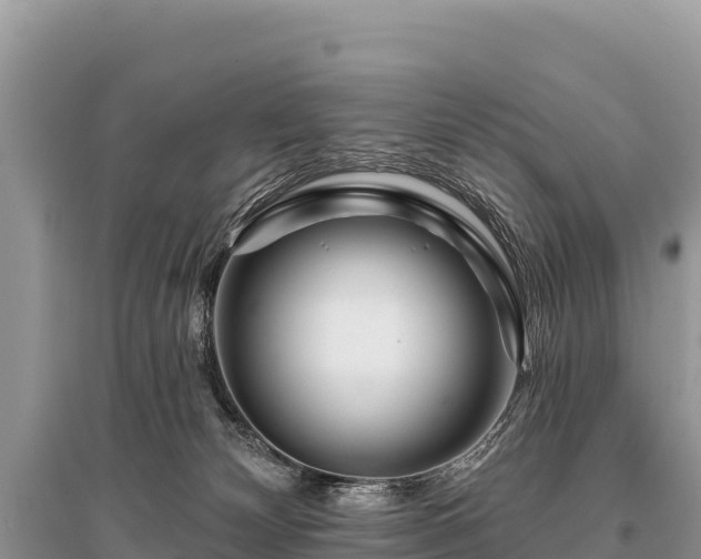 X0000096170132200801251200