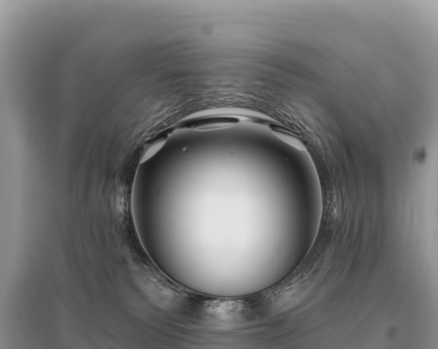 X0000096170135200801251200