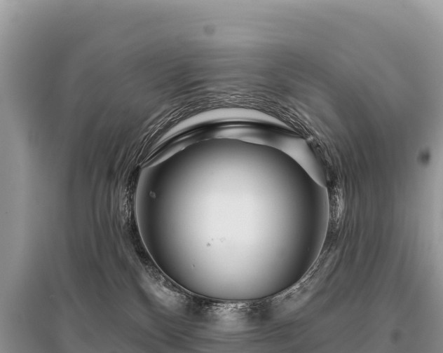 X0000096170136200801251200