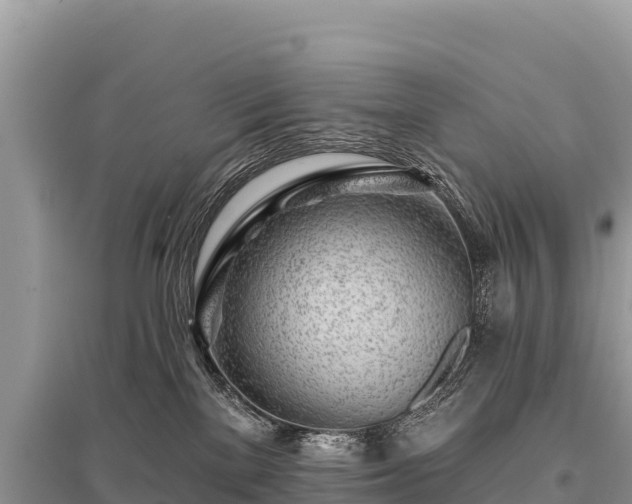 X0000096170137200801251200