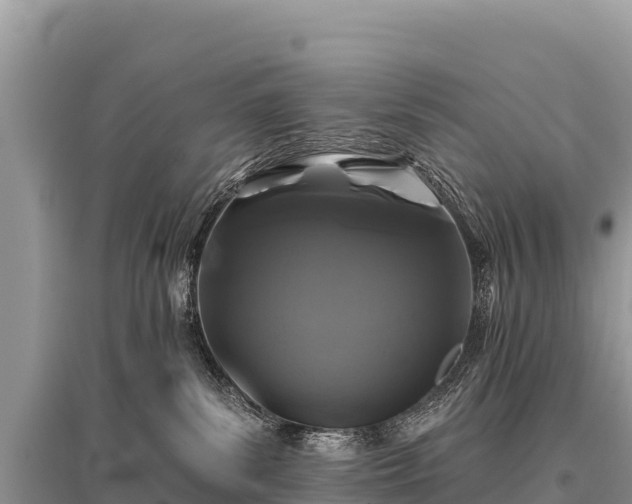 X0000096170139200801251200