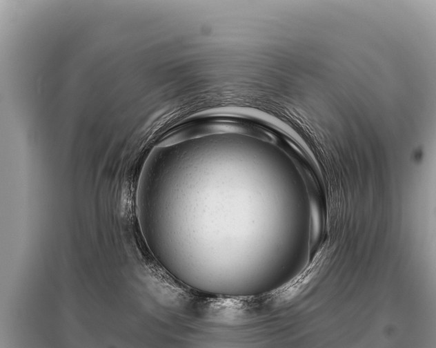 X0000096170140200801251200