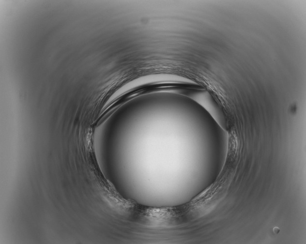 X0000096170141200801251200