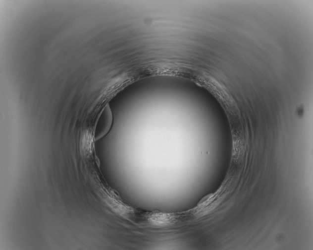 X0000096170142200801251200