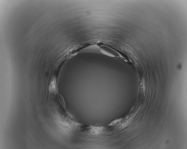 X0000096170143200801251200