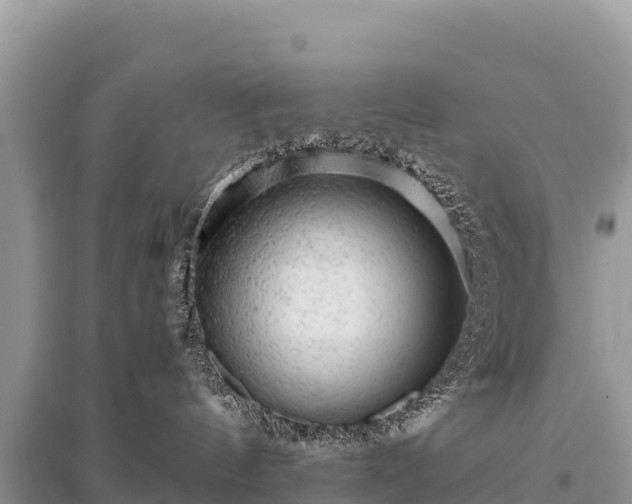 X0000096170144200801251200