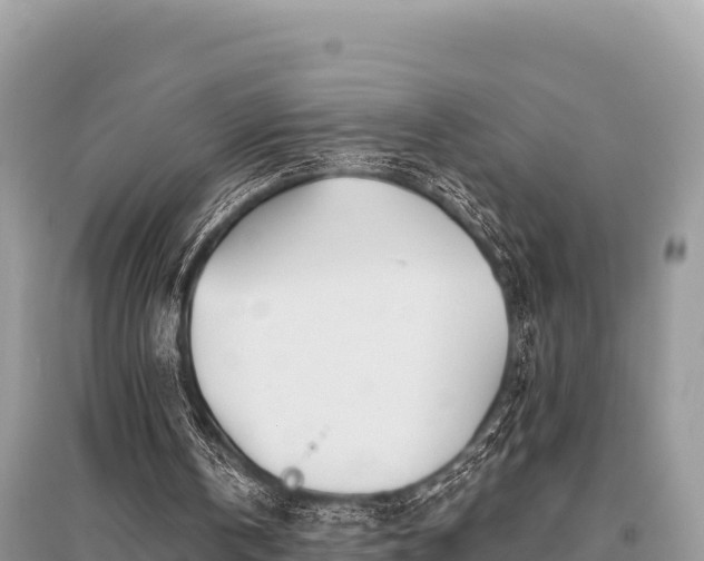 X0000096170146200801251200