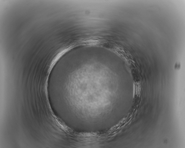 X0000096170147200801251200