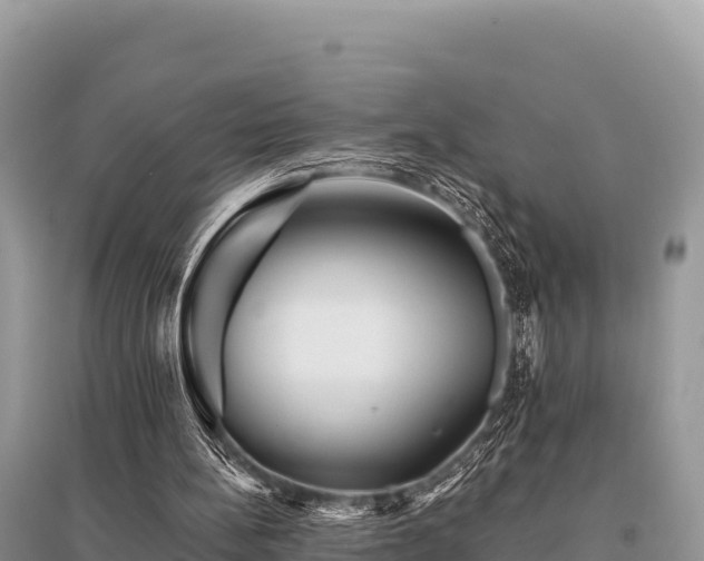 X0000096170148200801251200