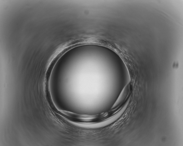 X0000096170152200801251200