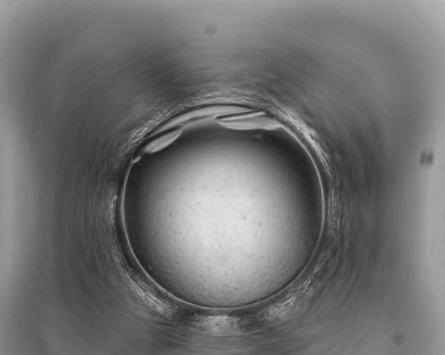 X0000096170153200801251200