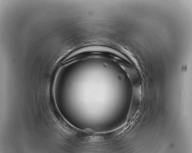 X0000096170154200801251200