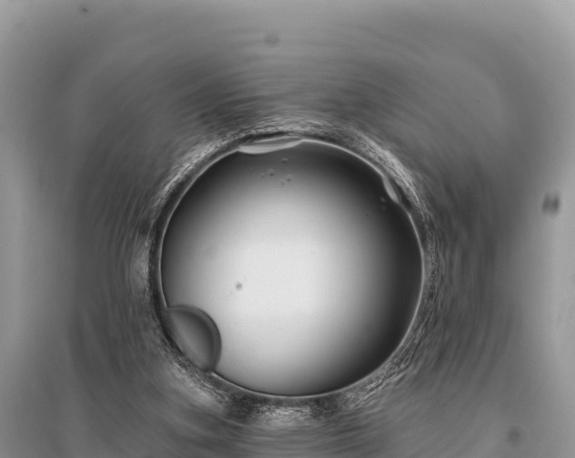 X0000096170155200801251200