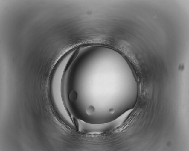 X0000096170156200801251200