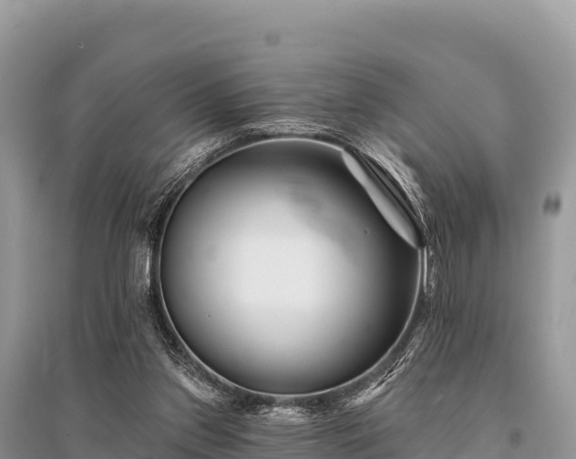 X0000096170157200801251200