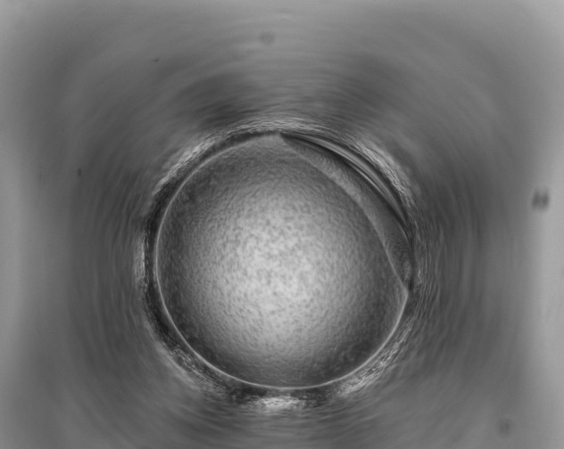 X0000096170158200801251200