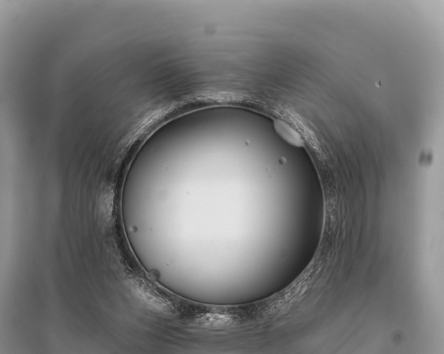 X0000096170159200801251200