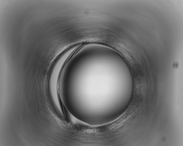 X0000096170160200801251200