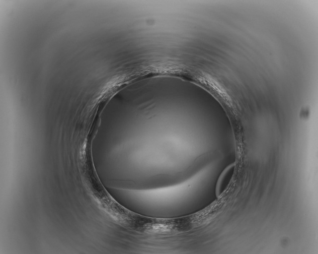 X0000096170163200801251200