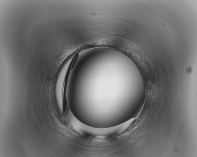 X0000096170164200801251200