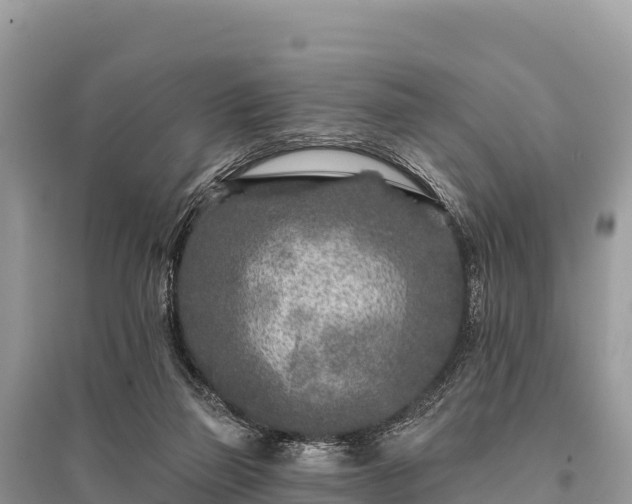 X0000096170165200801251200