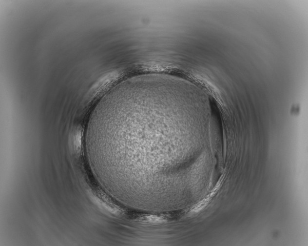 X0000096170166200801251200