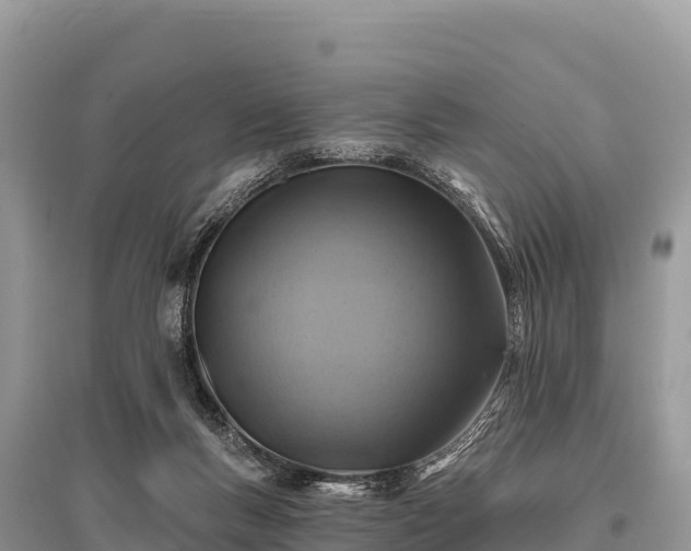 X0000096170167200801251200